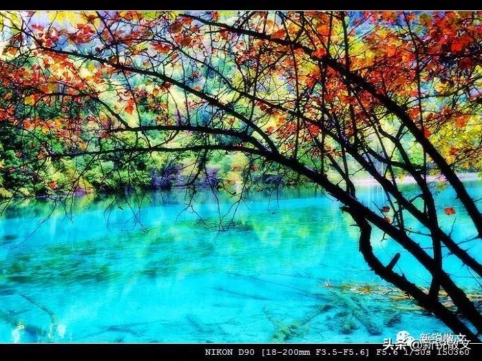 九寨黄龙避坑指南,九寨黄龙风景区旅游攻略