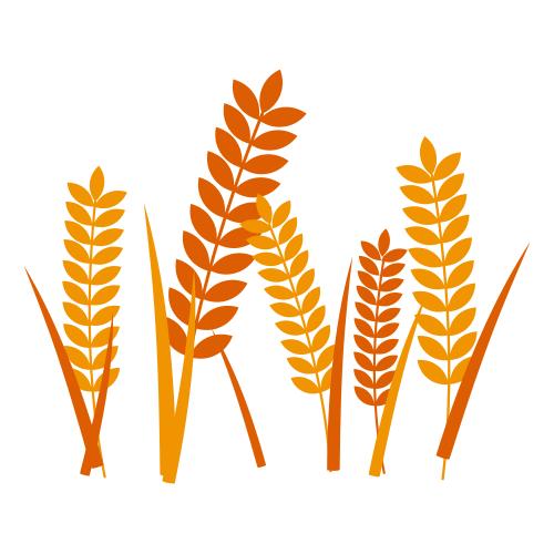 南京教育集团有哪些学校,又一学校