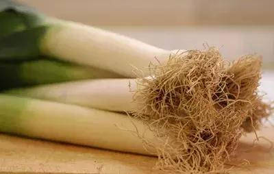 厨余废物怎么处理,餐厨边角料利用