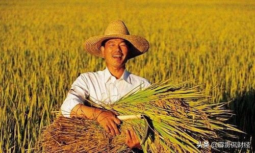 马云农村未来20年将有大发展,马云未来5年农村三大行业