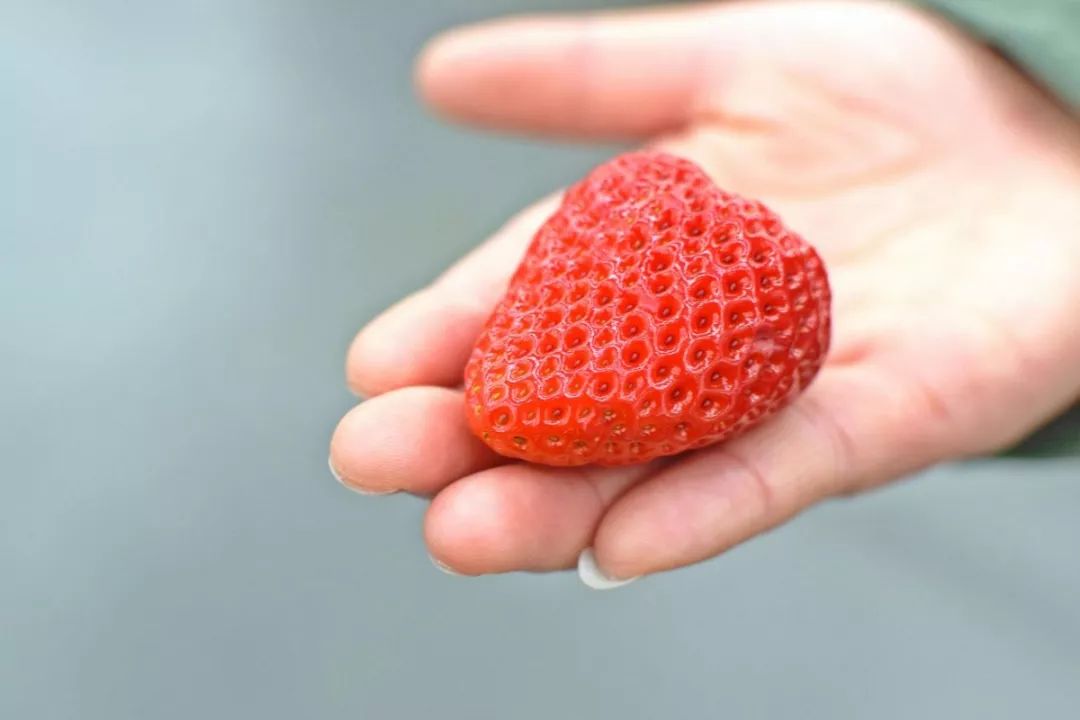 山姆新店活动码,山姆会员店宝藏单品