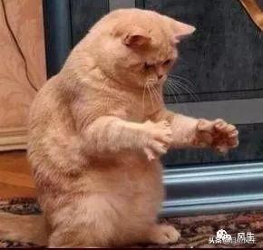 你是何时开始讨厌“呵呵”的