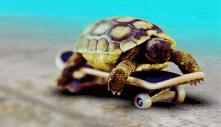 割包皮能当天做当天走吗,割包皮当天去医院当天就能割吗