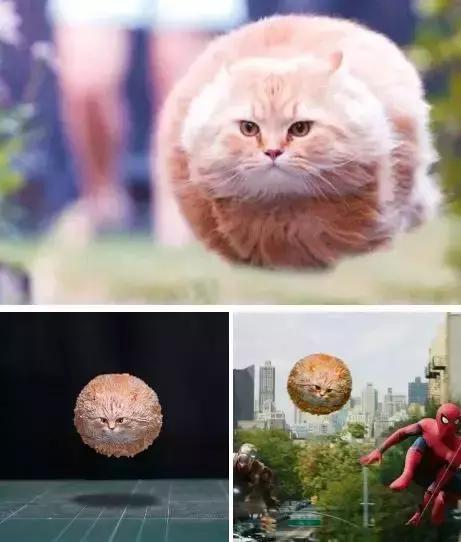 动物星球沙雕系列手办,你从未见过的沙雕手办