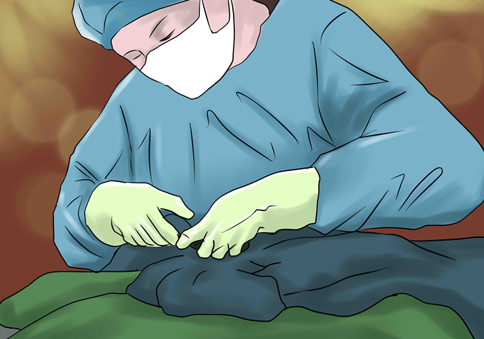 猫咪吃了异物催吐的最佳时间,猫咪吞进异物有什么表现