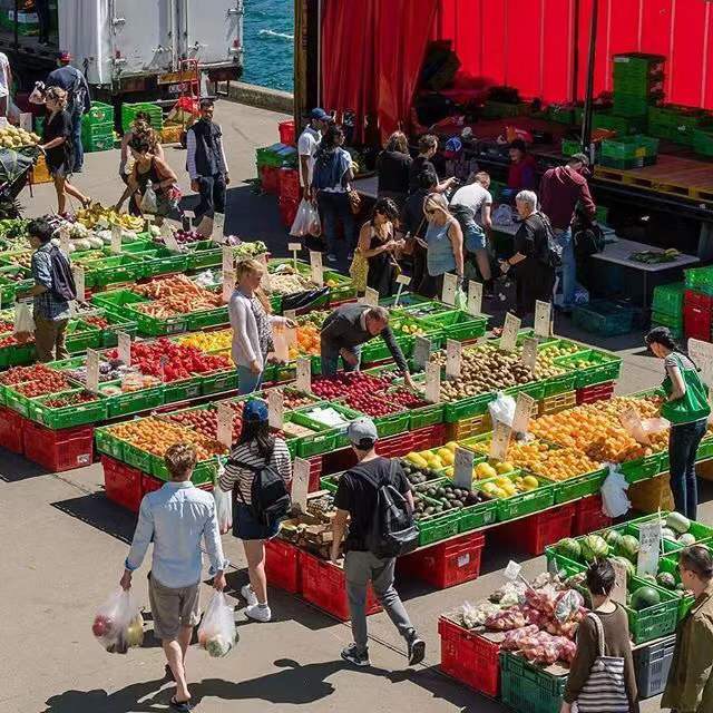 新西兰美食100种,哪里有新西兰水果