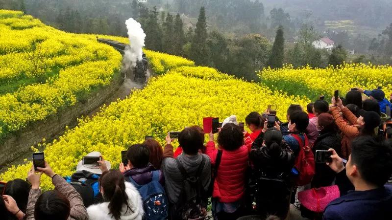 旅游蒸汽轨道观光小火车,中国最美的旅游观光小火车