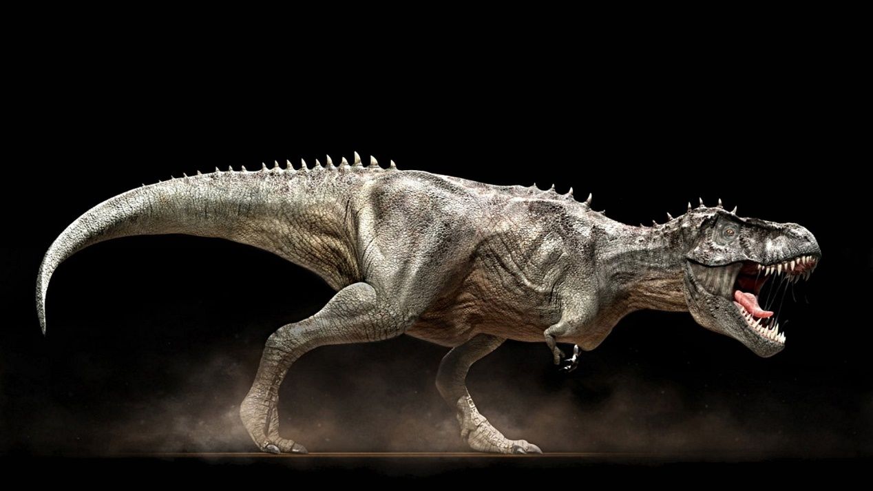 为什么肉食性恐龙是双足行走,恐龙肉食性和植食性怎么区分呢