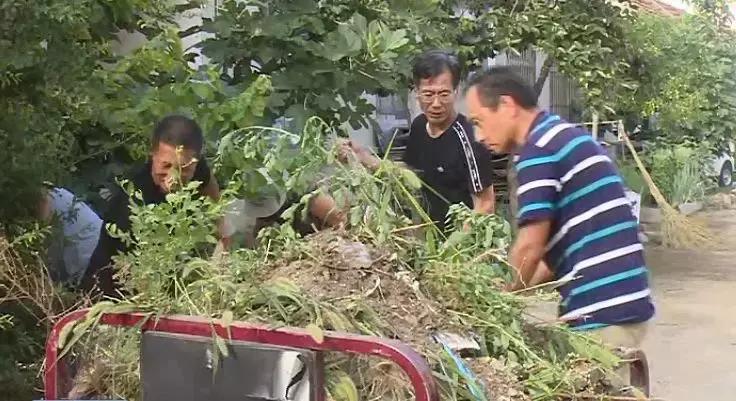 威海脏乱差,威海环境卫生整治