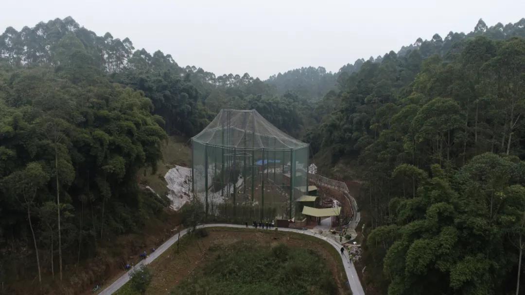 绿心公园5月3号有什么活动,绿心公园花开了好漂亮