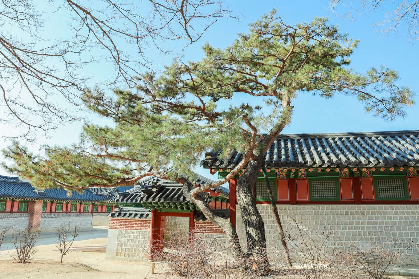 韩国冬天该有的样子,韩国第一次过冬天