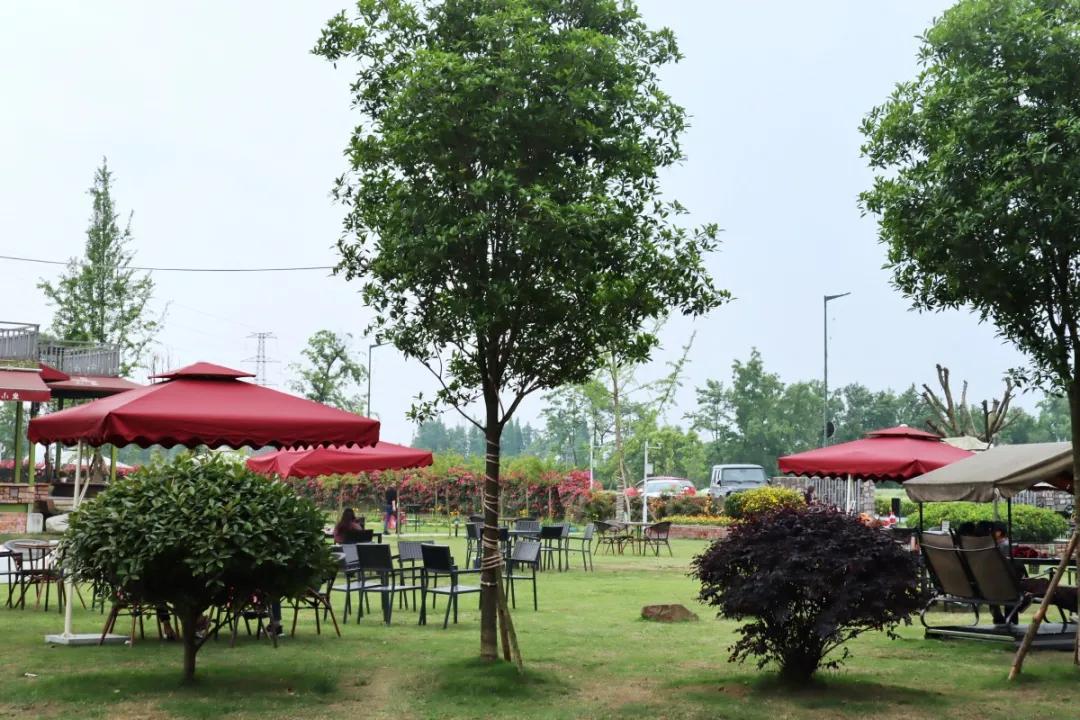 瑙呰叮灏忛晣褰窞,瑙呰叮灏忛晣宕囧窞