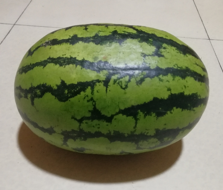 西瓜种植技术与授粉,怎么才能选到脆甜皮薄的西瓜