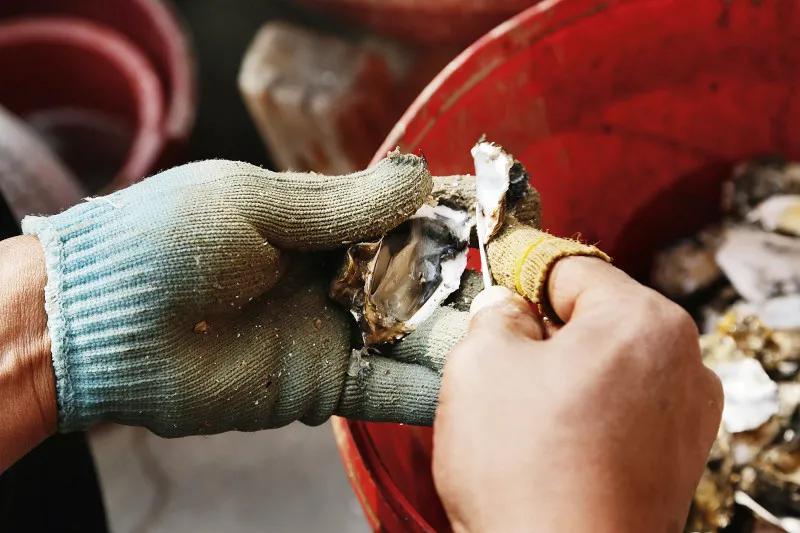 泉州海蛎面线糊的做法,泉州海蛎面线糊做法