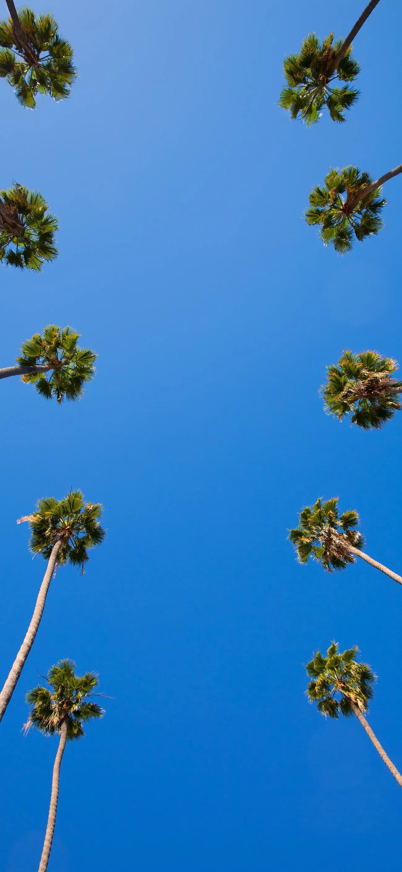 100张日出自然风景全屏壁纸,100张自然风景全屏壁纸花