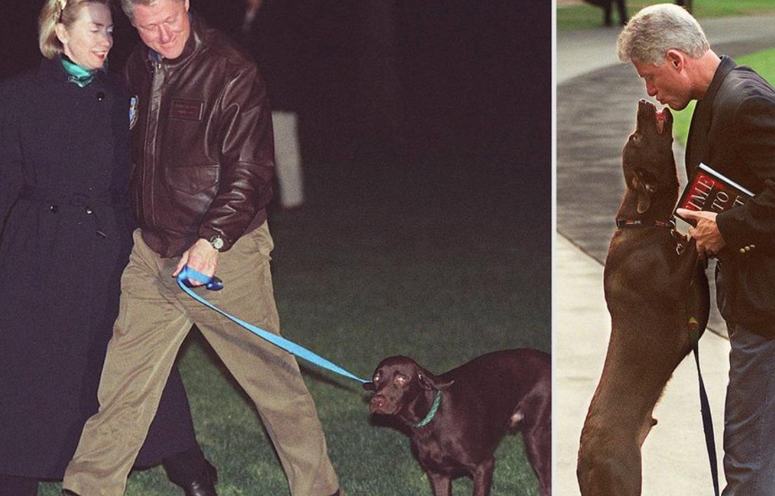 白宫动物简史：鸡、猫、狗、鸟、马、鼠、浣熊，甚至还有鬣狗