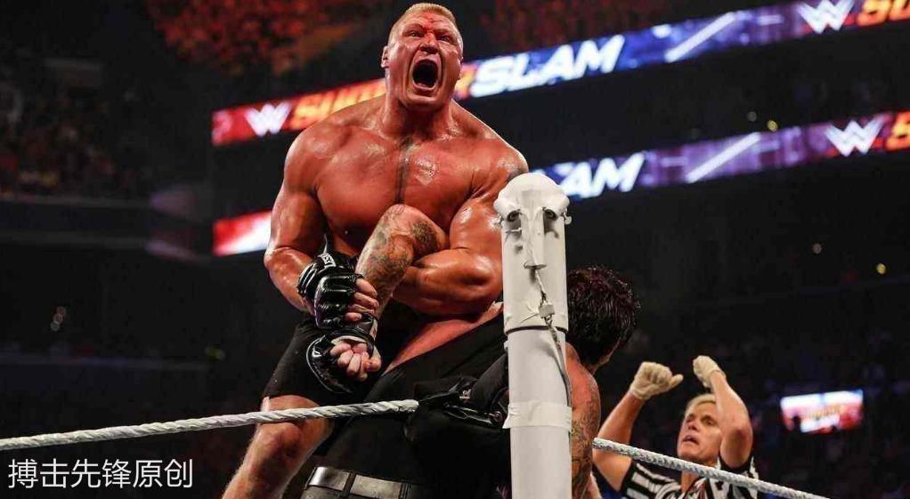 布洛克莱斯纳把大布带入重摔之城,布洛克莱斯纳在ufc算什么水平