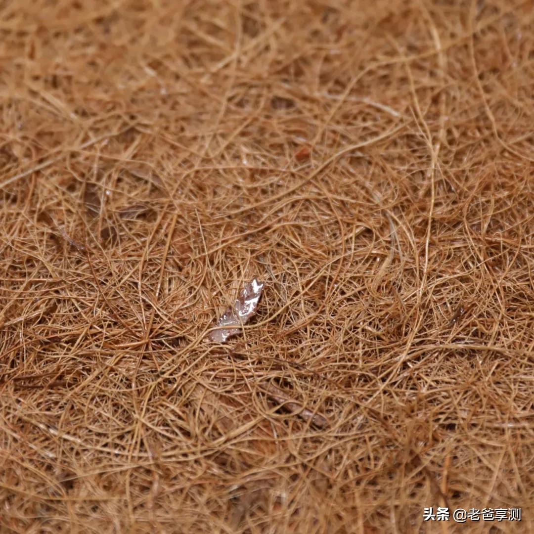 甲醛棕垫对学生有危害吗,甲醛棕垫宝宝睡了一年