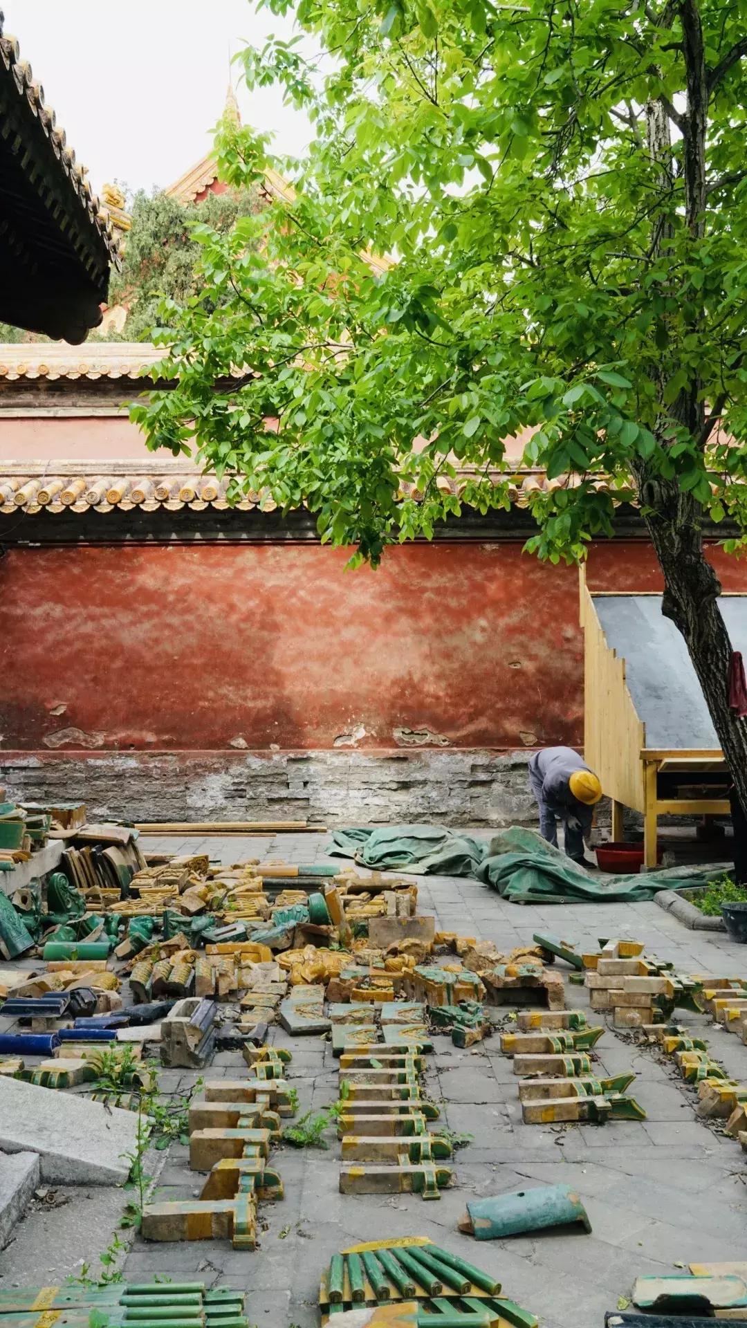 谁敢在故宫“上房揭瓦”？30年练成飞檐走壁，也只有这群大神了