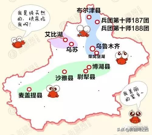 疆优质特产,盘点十大新疆的特产