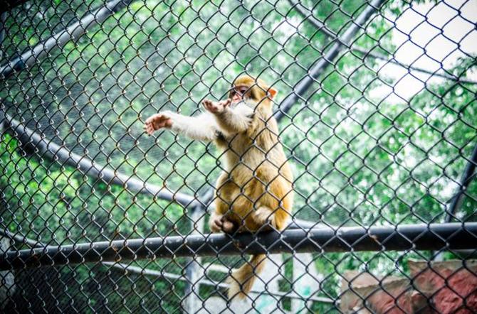成都南湖梦幻岛风景,成都梦幻岛旅游景点