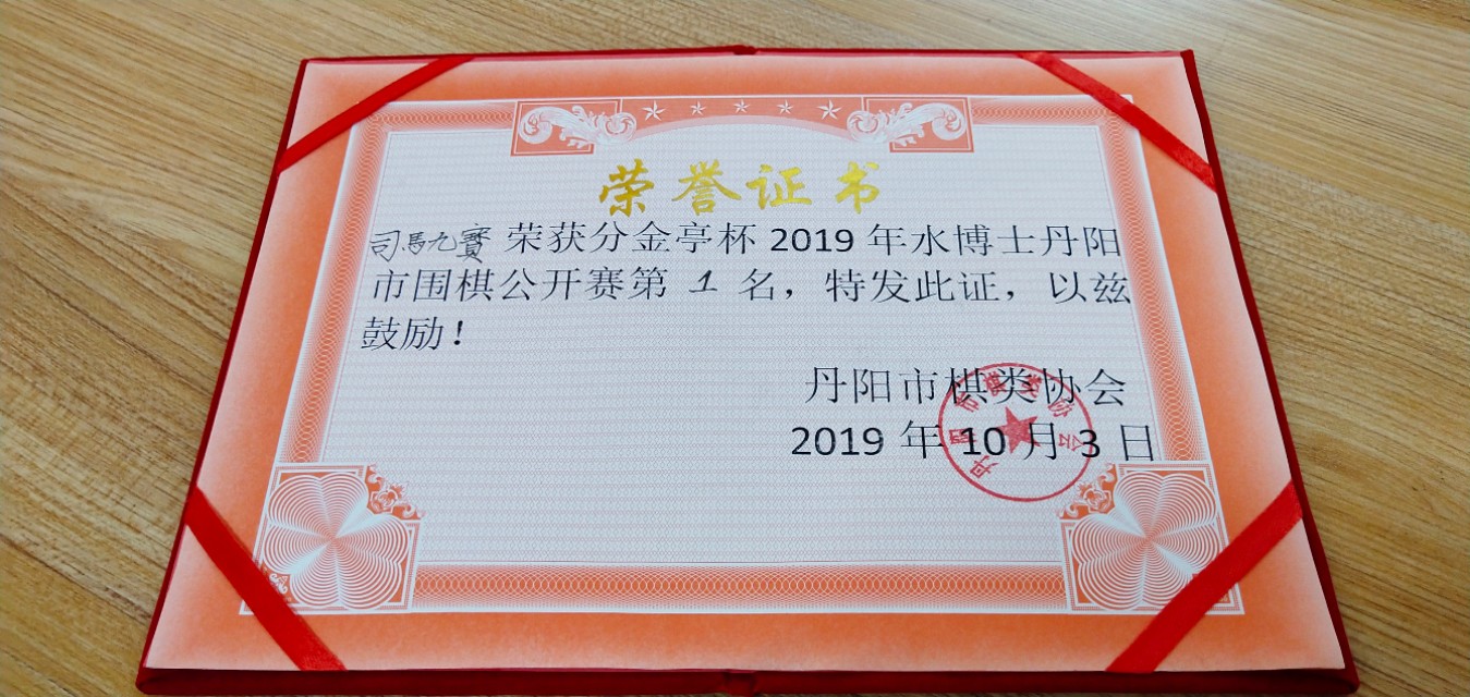 弈城9d,弈城9d是什么水平