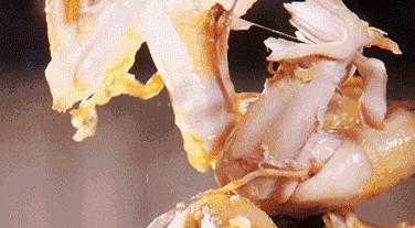 火车上适合带什么吃的长期旅途,乘火车长途旅行带什么食物