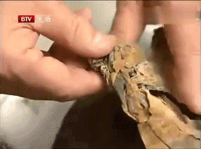 海带怎么泡发更好吃,海带要怎么泡才能又快又好吃