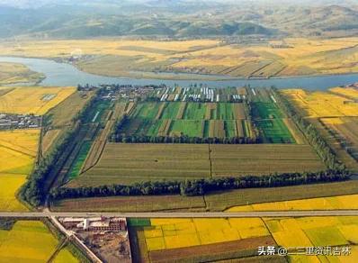 3分钟让你爱上jojo,3分钟让你爱上她