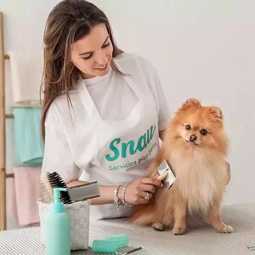 欧洲宠物药企有哪些公司,国外宠物行业创业新方法