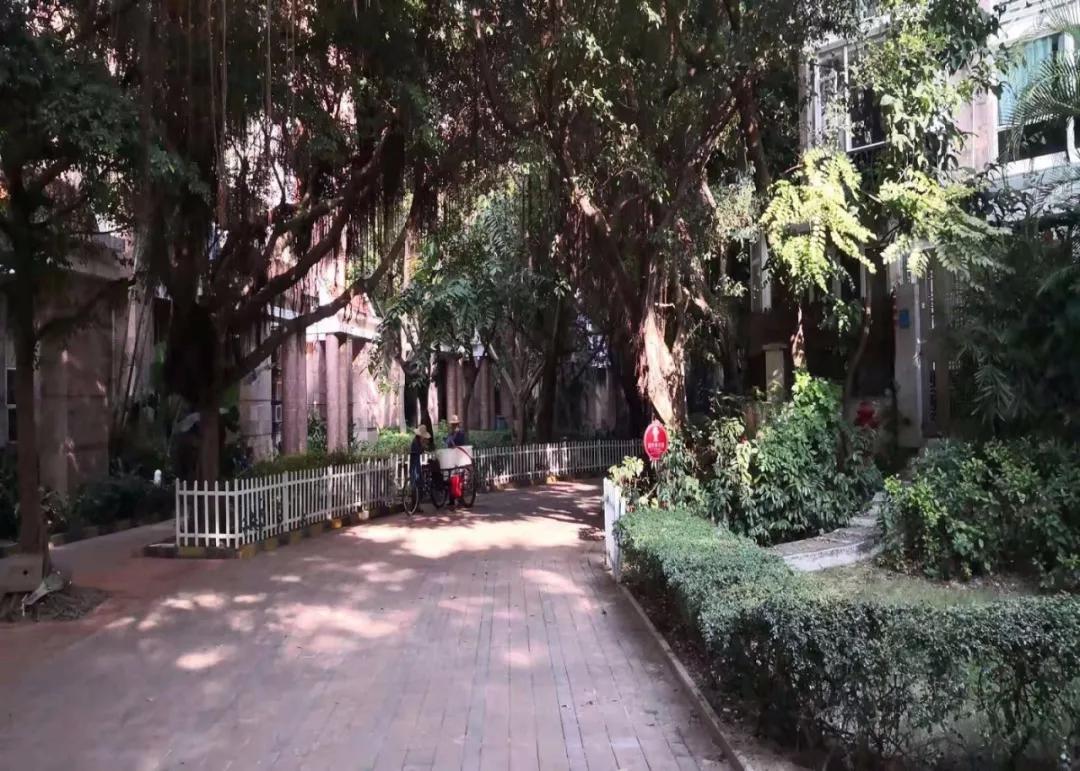 阳光棕榈园施工图,阳光棕榈园二期评测