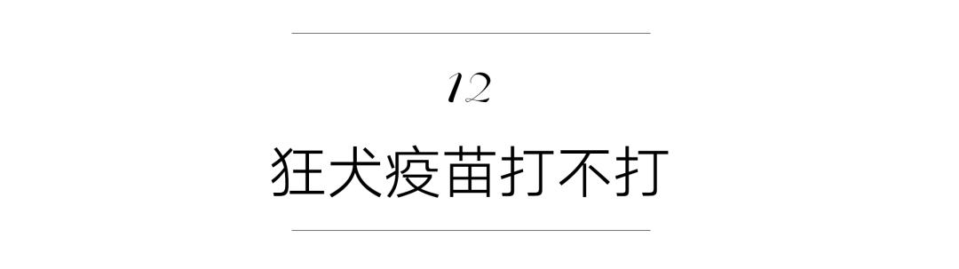 养猫咪新手入门必知疫苗怎么打,新手养猫疫苗怎么打