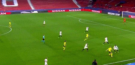 巨龙困斑马，黄蜂覆脸盆