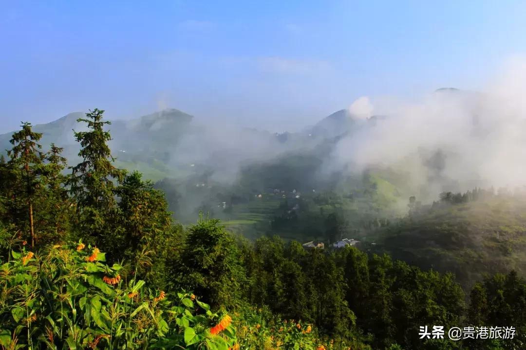 鐜╄浆骞胯タ妗傚钩姘戝,妗傚钩姘戝