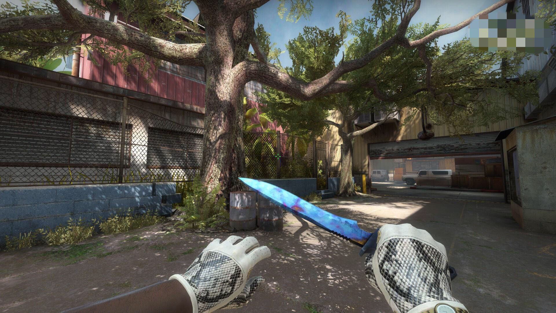 csgo穿肠刀皮肤推荐,csgo个人经历