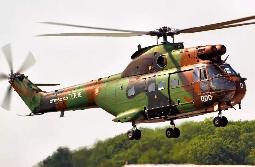这直升机平庸被中国引进，名气却不如超黄蜂和小羚羊