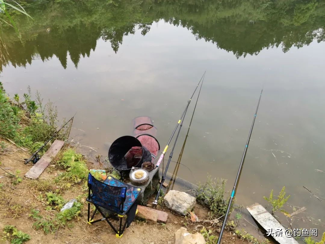 连球钓椅c19和x12什么区别,钓椅怎么选牌子