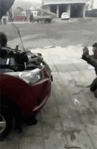 看了整整七分钟，他们最终还是上去了