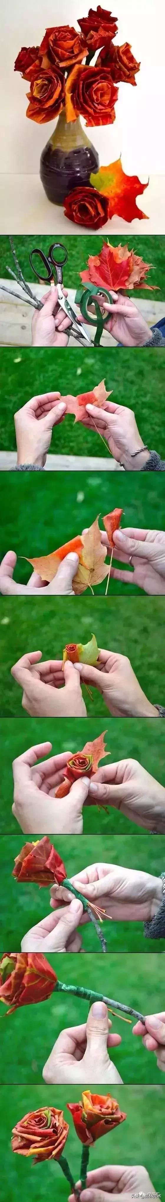 看秋叶七十二变，这些创意别错过