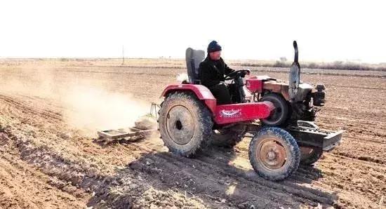 花生壮苗开花结果多,花生弱苗喷什么能壮苗