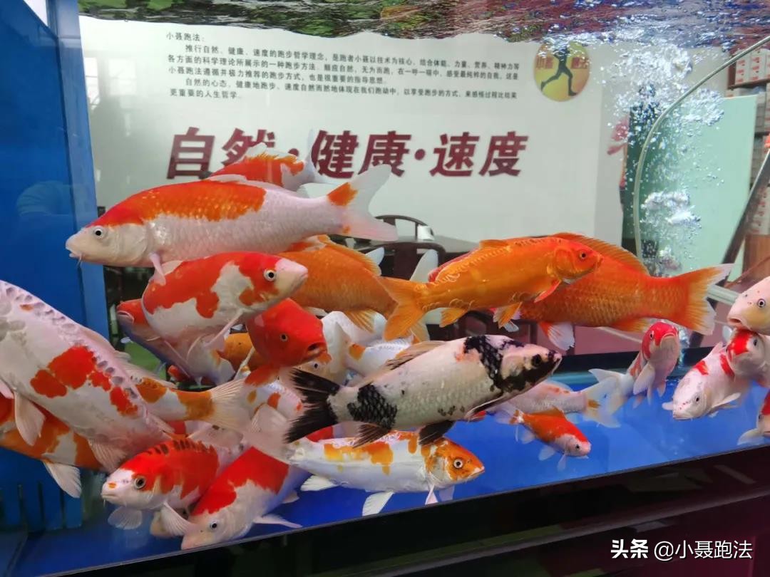 小聂：导致脚背受伤最可能就是这个原因哦