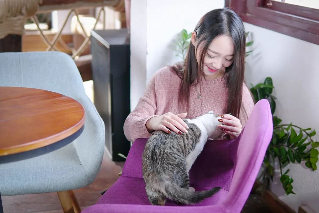 深圳真正的富人真实生活,深圳土豪的现状