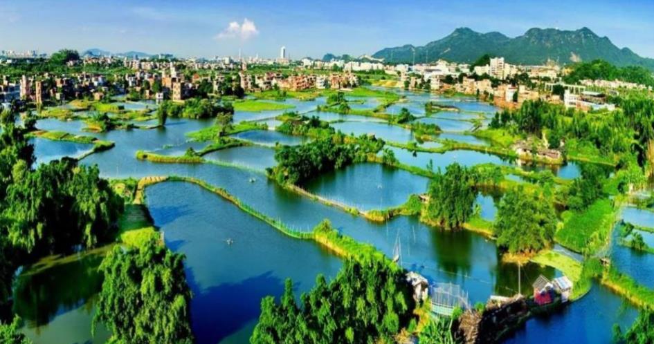 江门60岁以上免费景点有哪些,江门旅游景点推荐网红打卡点