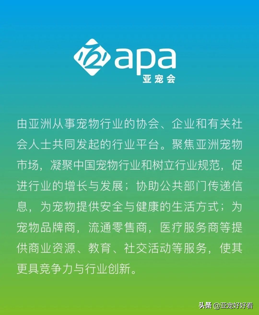 亚宠云课堂,比熊犬赛级妆造型