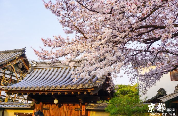 京都穿汉服,去京都穿什么汉服好看