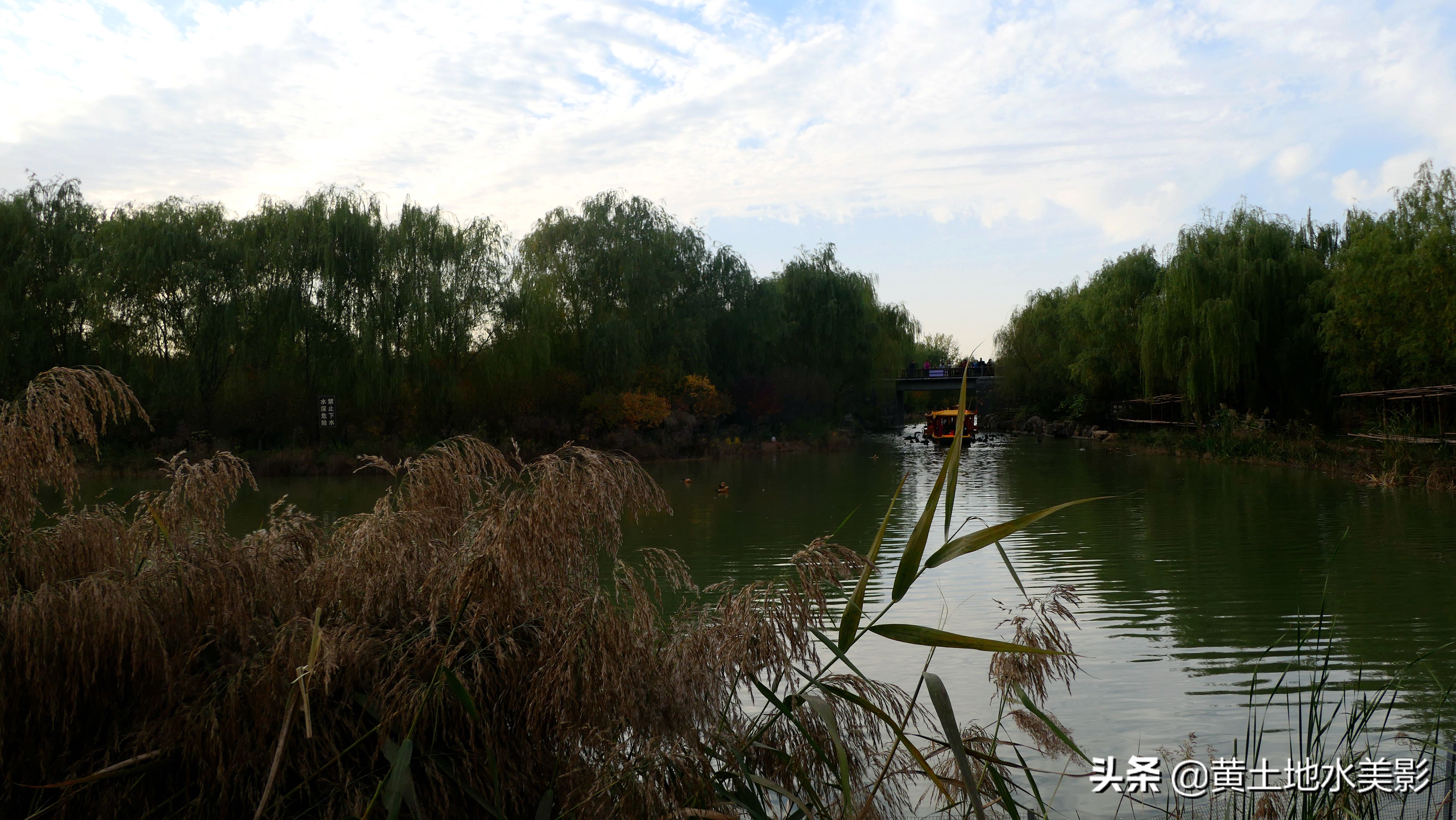 占地590亩的湿地公园,野生动物比较多的旅游景区
