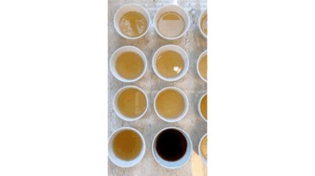 普洱茶生茶的正确冲泡方法,泡普洱茶生茶的正确方法