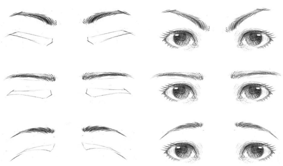 零基础人物脸的画法,人体五官细节该怎么画