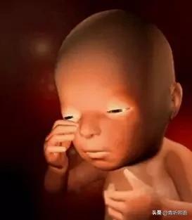 产检时间有什么讲究？医生从胚胎1周到40周成长史来解释原因。