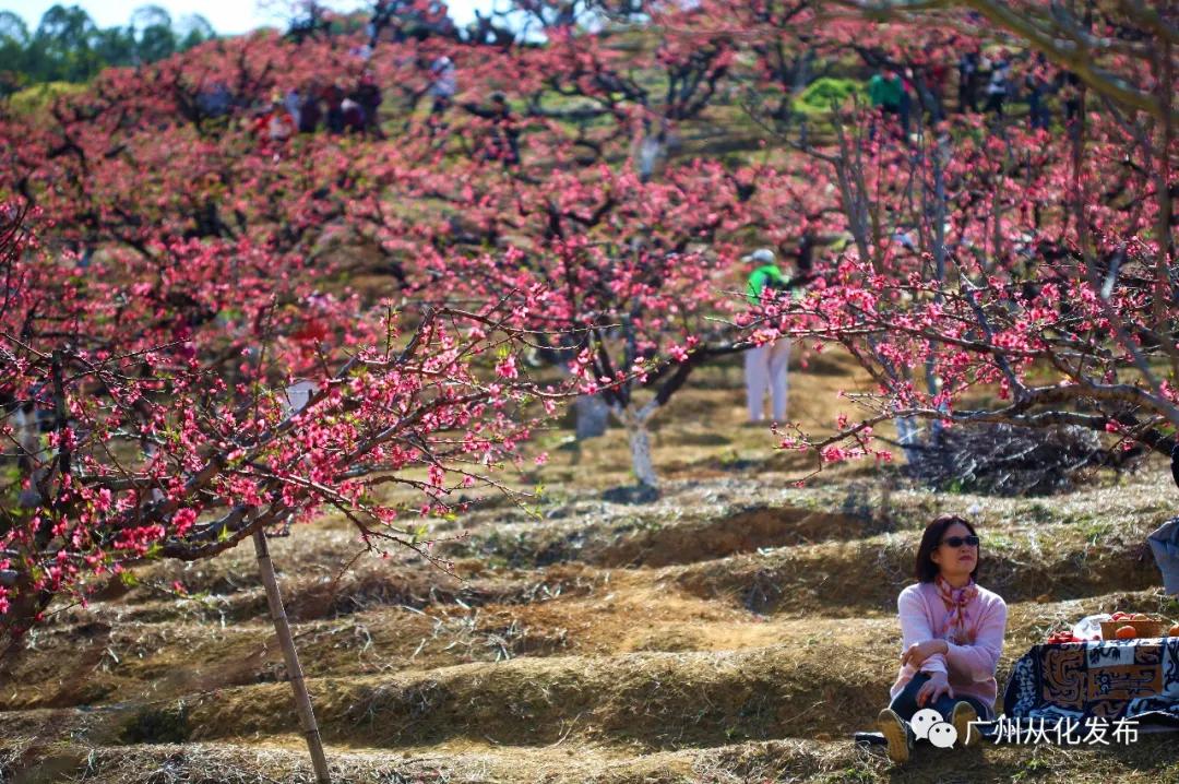 从化吕田美食攻略,从化吕田特色美食有哪些